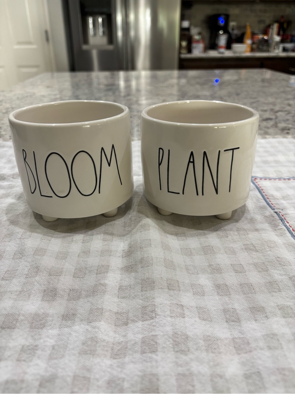 Rae Dunn Cream Ceramic Planter Set - BLOOM & PLANT